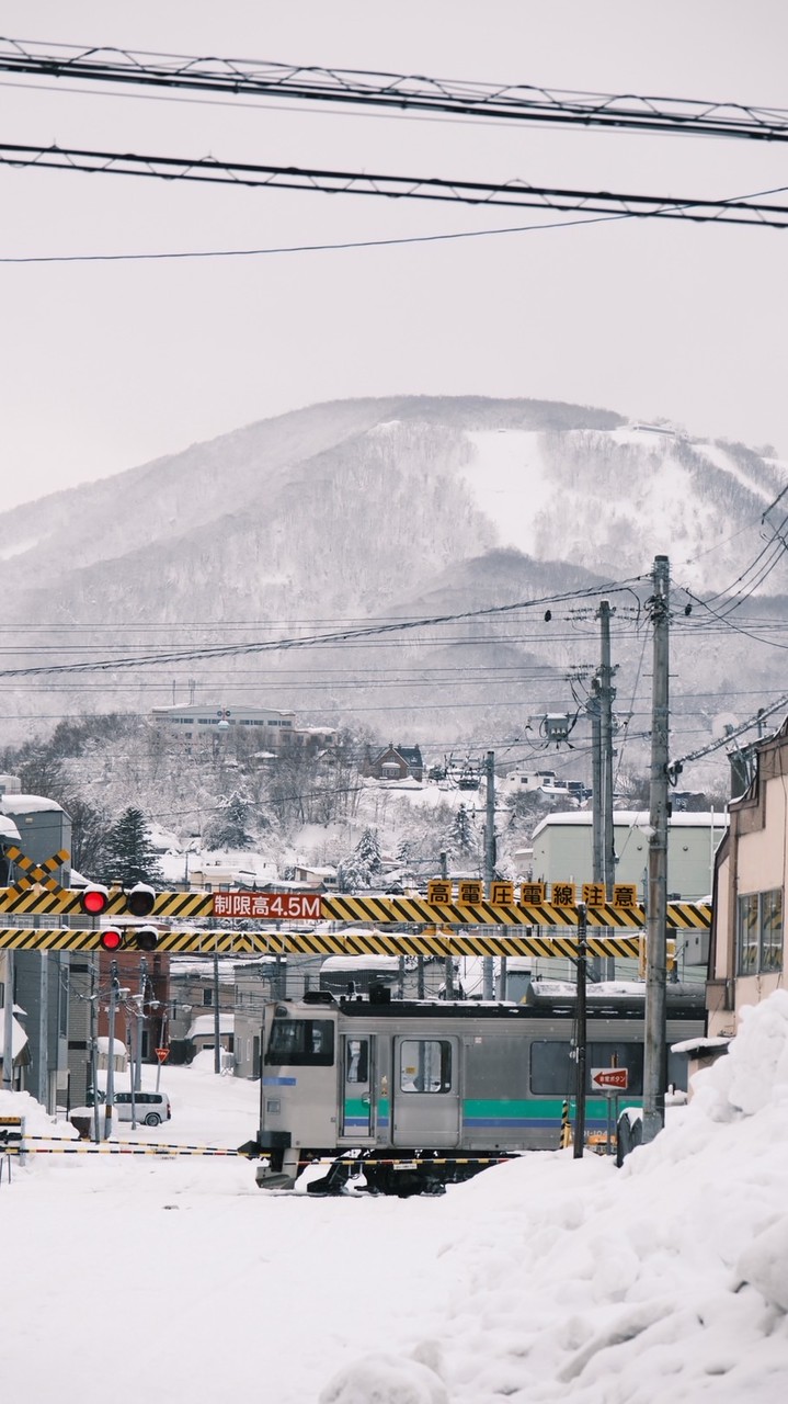 江小桃日本東京12/11-12/15代購🍑✈️
