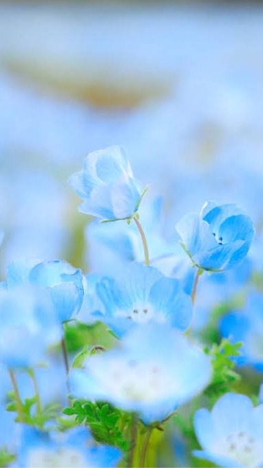 薬学部志望のための相談・勉強部屋