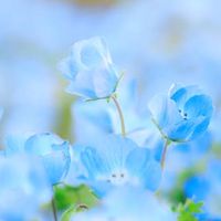 薬学部志望のための相談・勉強部屋