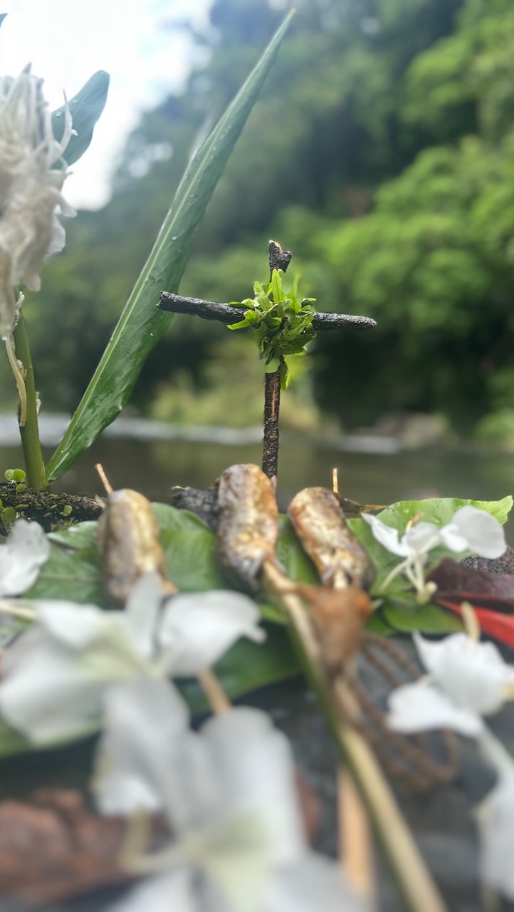 野外求生野營揪團，來真的。