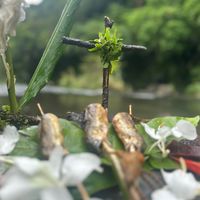 野外求生野營揪團，來真的。