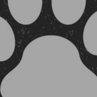 好奇心旺盛な猫さん達