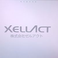 ゼルアクトチャット