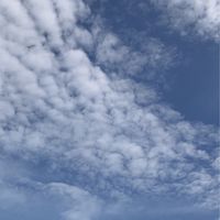 すこやかNEWS💗おさがりリサイクル👕👖👟🎒