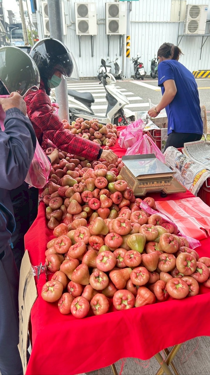 樹人路蓮霧攤（原菜市場）