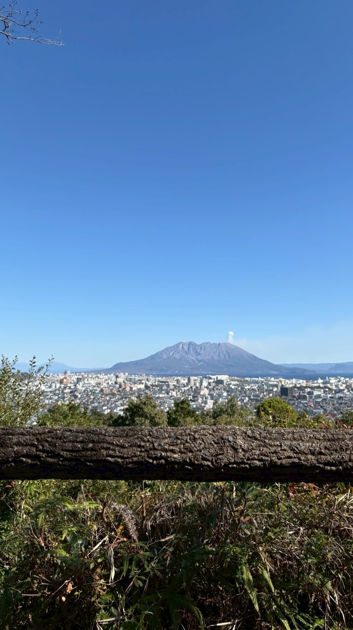 ラーテルSNS🦡✨