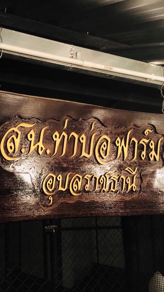 ซุ้ม ส น ท่าบ่อฟาร์ม #เทพเสถียร