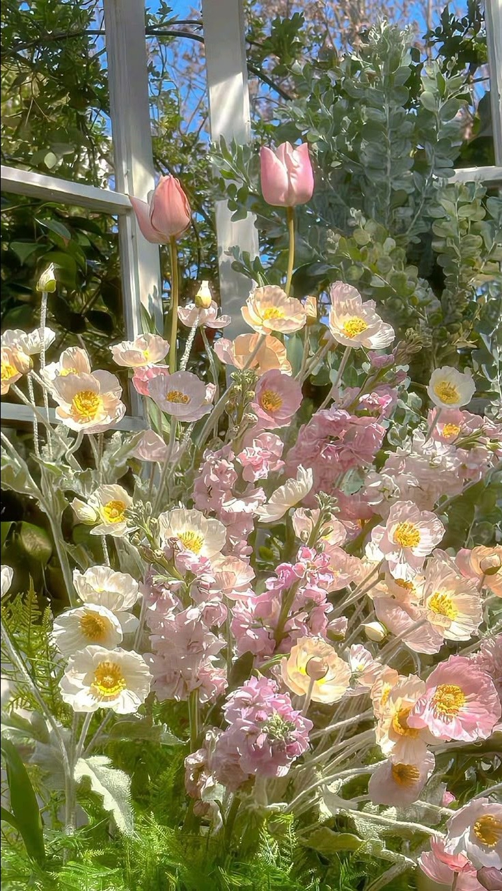 🌷บ้านสวนสวย🌷