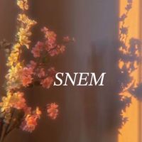 𝑆𝑁𝐸𝑀考核群