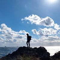 夜更かしする人はここよ!夜更かしオールスターズ!