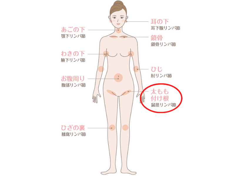 リンパを刺激して老廃物を流す 壁 をつかう 足の付け根ストレッチ