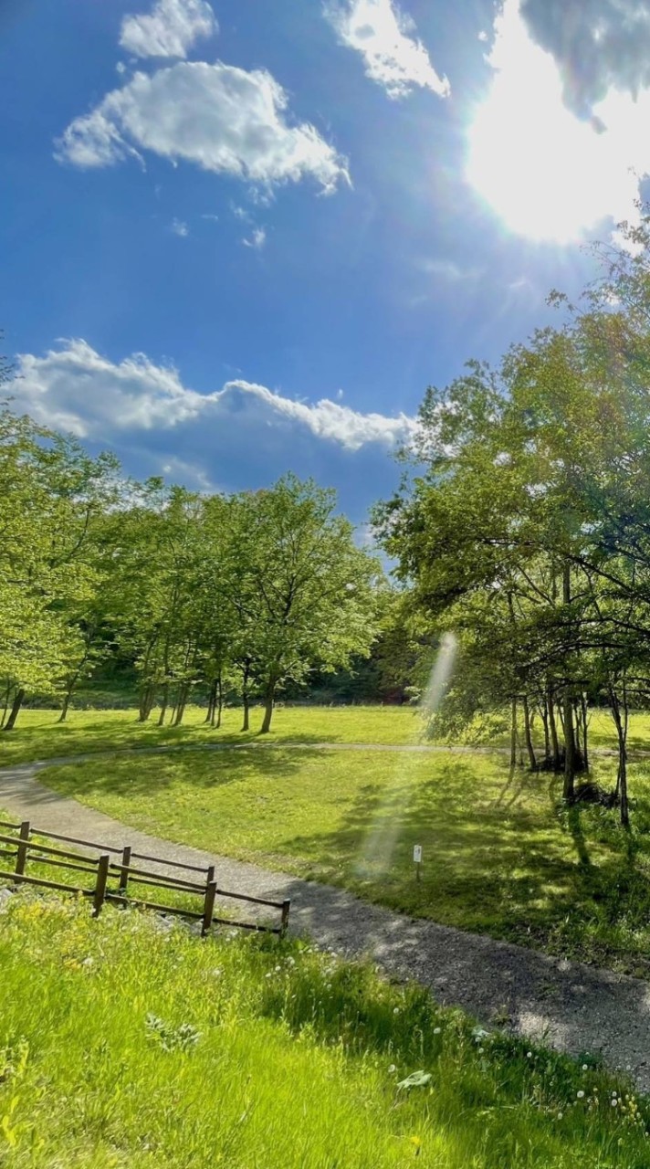 🍀のんびり広場🍀
