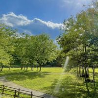 🍀のんびり広場🍀