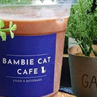Bambie Cat Cafe