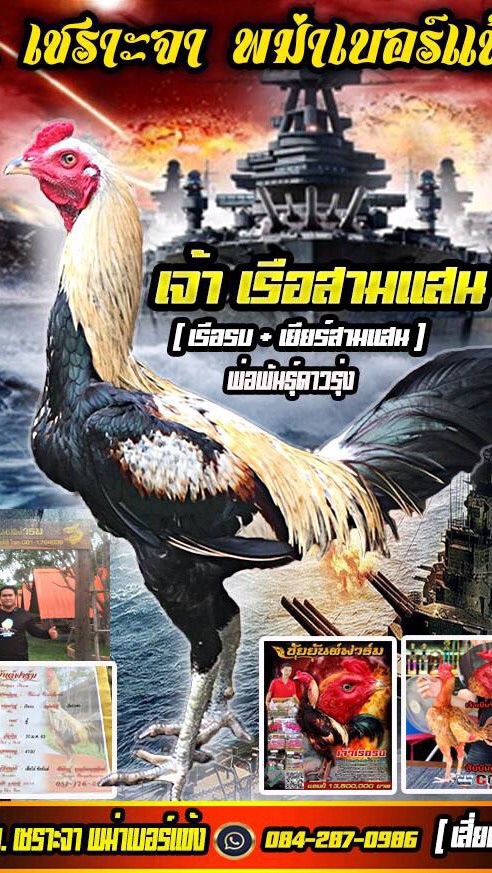 สายเลือด เซราะจา พม่าเบอร์แข้ง