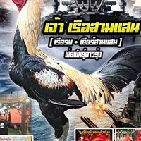 สายเลือด เซราะจา พม่าเบอร์แข้ง