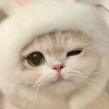 🐿リスの配布・お助けオプ
