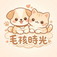毛孩食光🐾