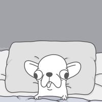 112實踐資管新生群