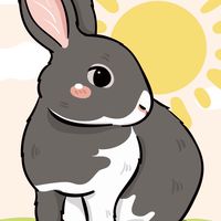 🐰168雜貨店🐰