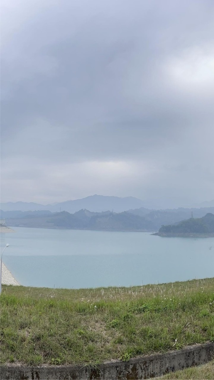 全台灣地產交流專區