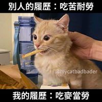 麥當勞