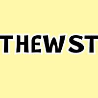 thewst.cloth_shop (2)