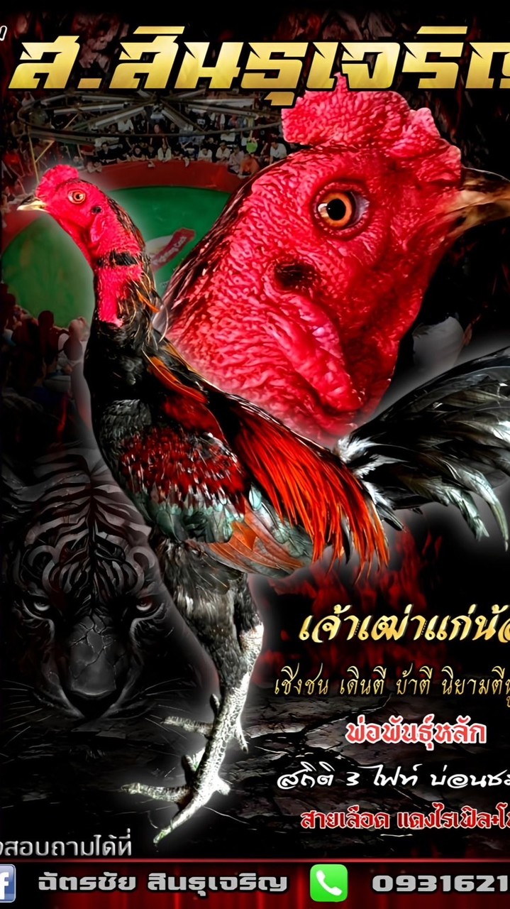 ส.สินธุเจริญ STJ