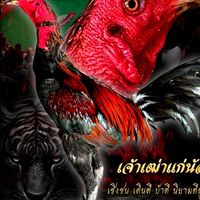 ส.สินธุเจริญ STJ