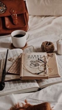 Harry Potter _ Hogwarts 也