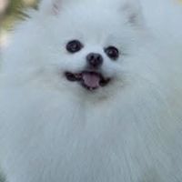 禹兒🦝6/17～6/19風平浪靜現地代購