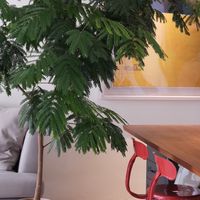 Sophia的生活好物小隊