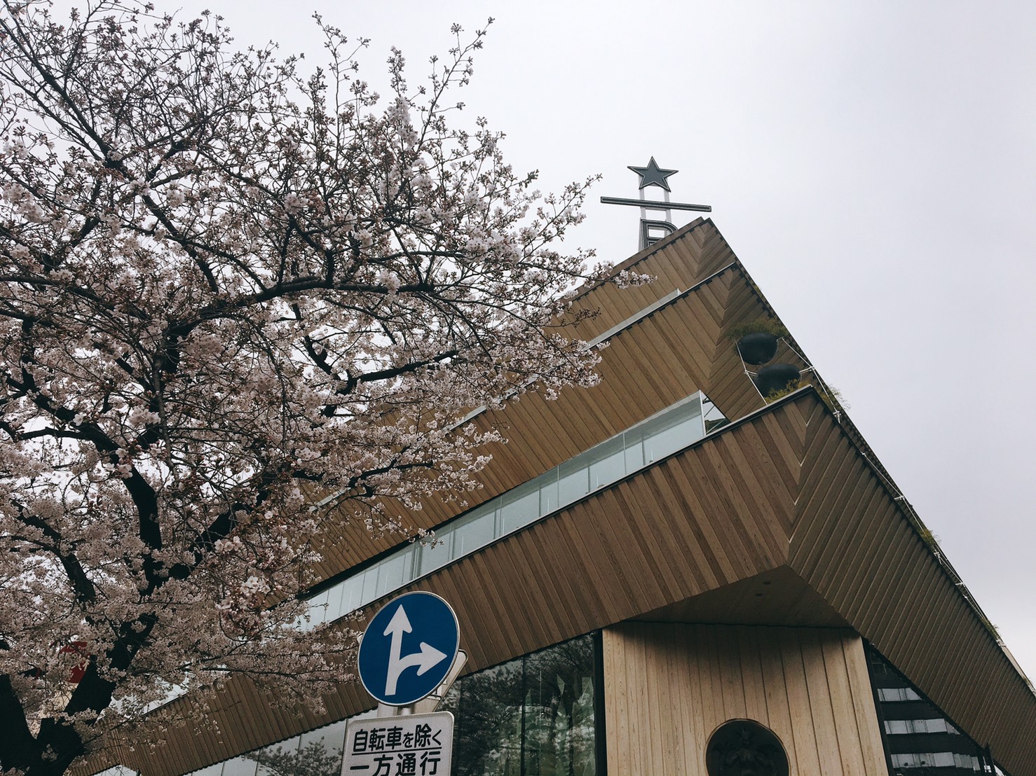 中目黑星巴克 190402 0004