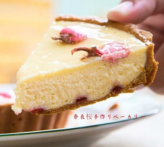 【奈良櫻手作烘焙】櫻花乳酪派-日本吉野櫻 IG甜點推薦 情人節蛋糕