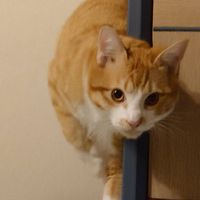 アラカン♡Ｂ型限定♡