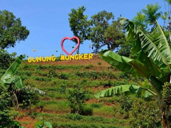 14 Pilihan Agrowisata Buah Di Yogyakarta Buat Libur Lebaranmu