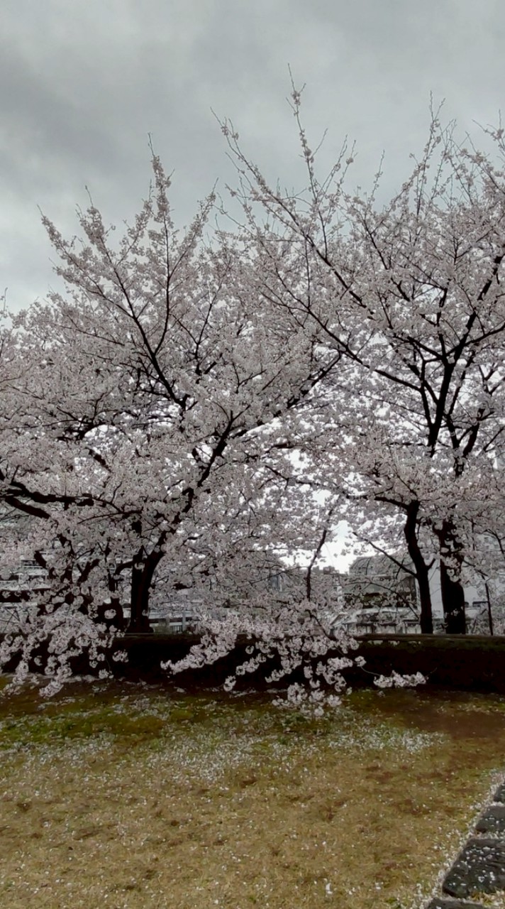 福井大学文芸サークル新歓2026