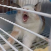 101好家伙