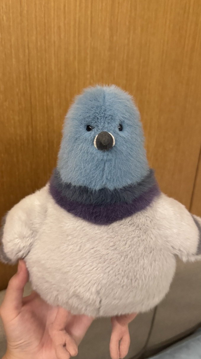 佛系Jellycat探店🥰