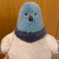 佛系Jellycat探店🥰