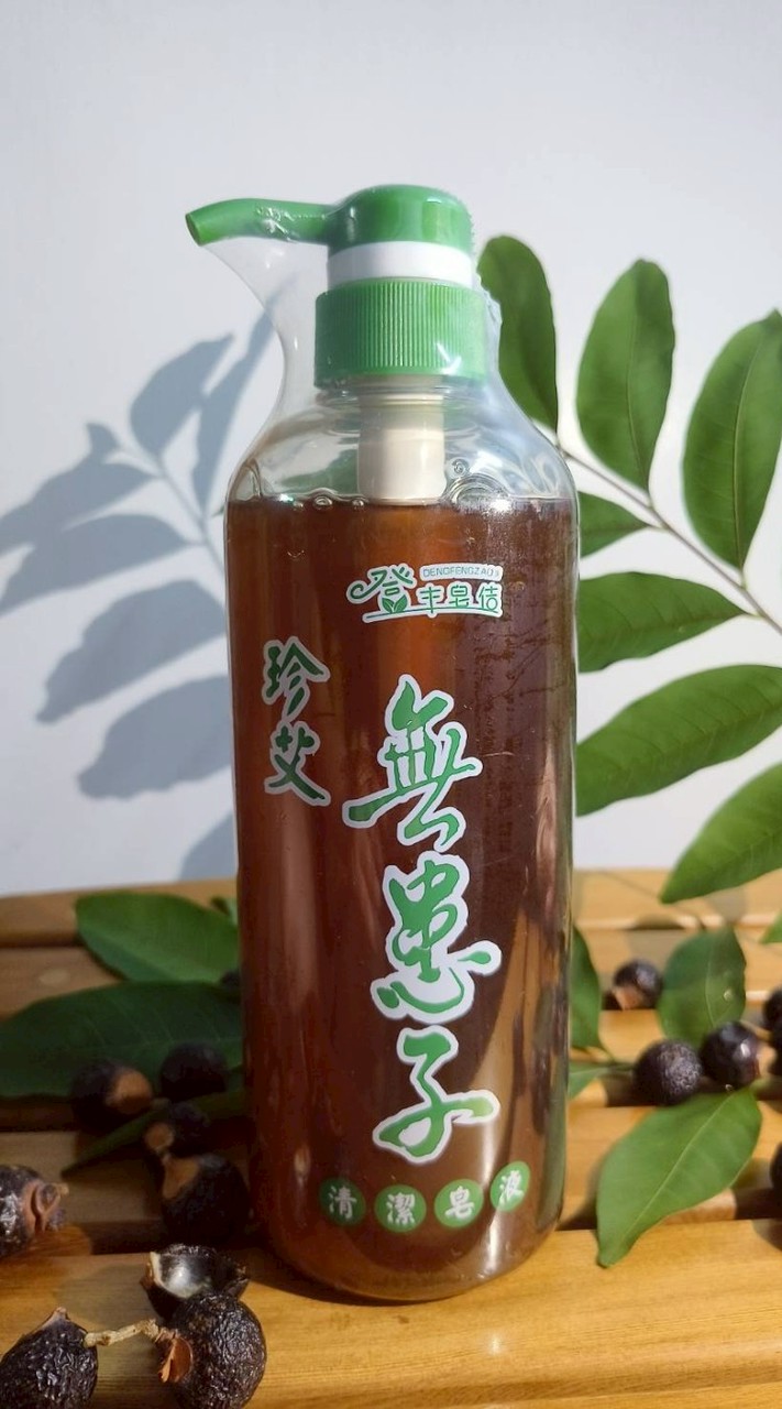 登丰皂佶(無患子)參展資訊
