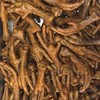 庄咖滷品🌶️團購群