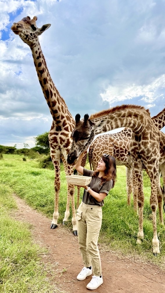🦒Amber帶我去非洲