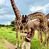 🦒Amber帶我去非洲