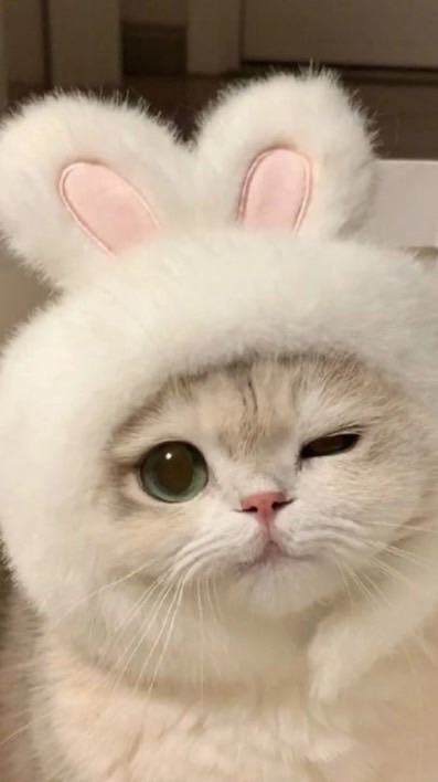 •1วันพันกว่าเรื่อง•