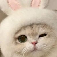 •1วันพันกว่าเรื่อง•
