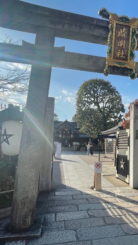 心霊・怪談・都市伝説YouTubeチャンネルをこよなく愛でる部屋