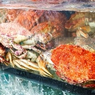 龜吼小漁村活海鮮 滿桌海鮮料理，吃得超滿足！食尚玩家推薦萬里餐廳！