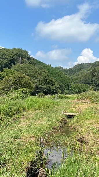 いきもの探検隊9月20日横沢入