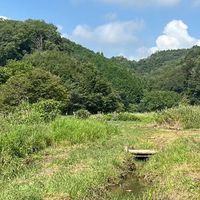 いきもの探検隊9月20日横沢入